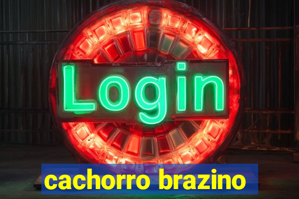 cachorro brazino